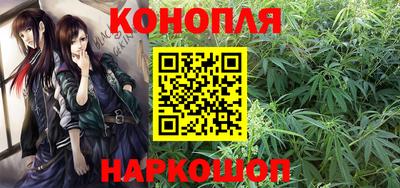 крисы Аргун