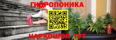 крисы Аргун