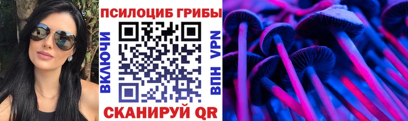 Псилоцибиновые грибы Psilocybine cubensis  Асино 