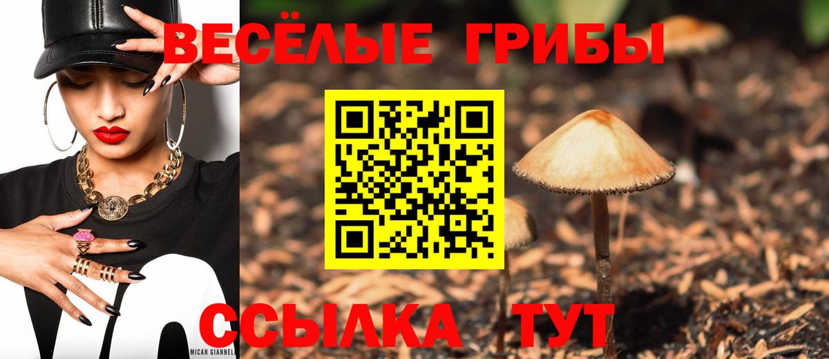 Галлюциногенные грибы мицелий Асино